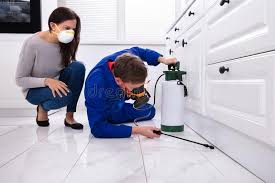 Best Pest Control for Multi-Family Homes  in Moorpark, CA